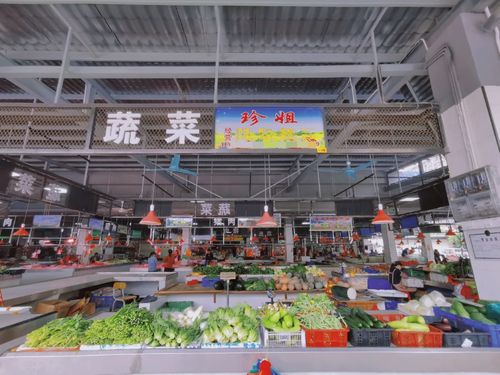 南海丹灶石聯社區 地改清河涌，路網煥新顏，商業綜合體引領華麗大變身